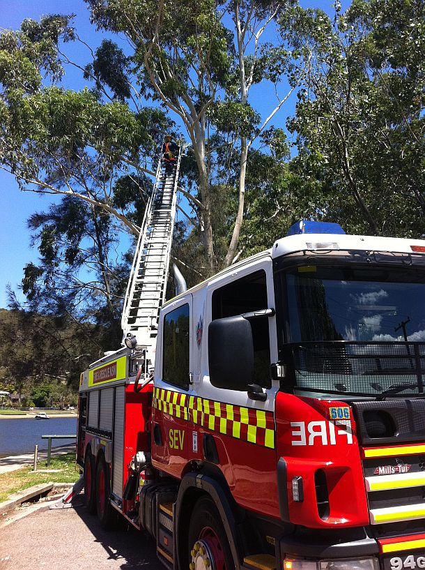 Rescue exposes fishing grubs